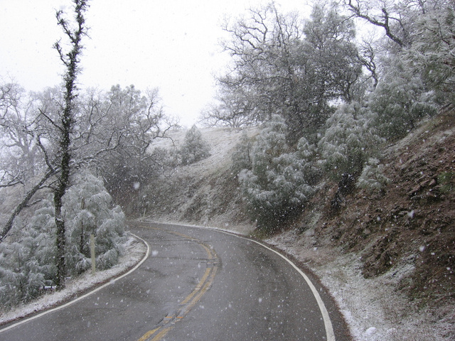 Mt Hamilton Rd, Feb 19 2006