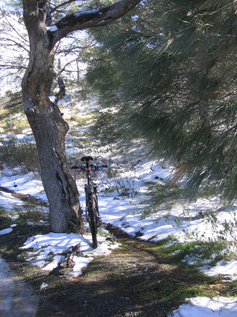 Mt Diablo: Prospectors Gap Road