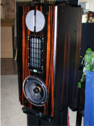 MLS African Ebony 626R right side