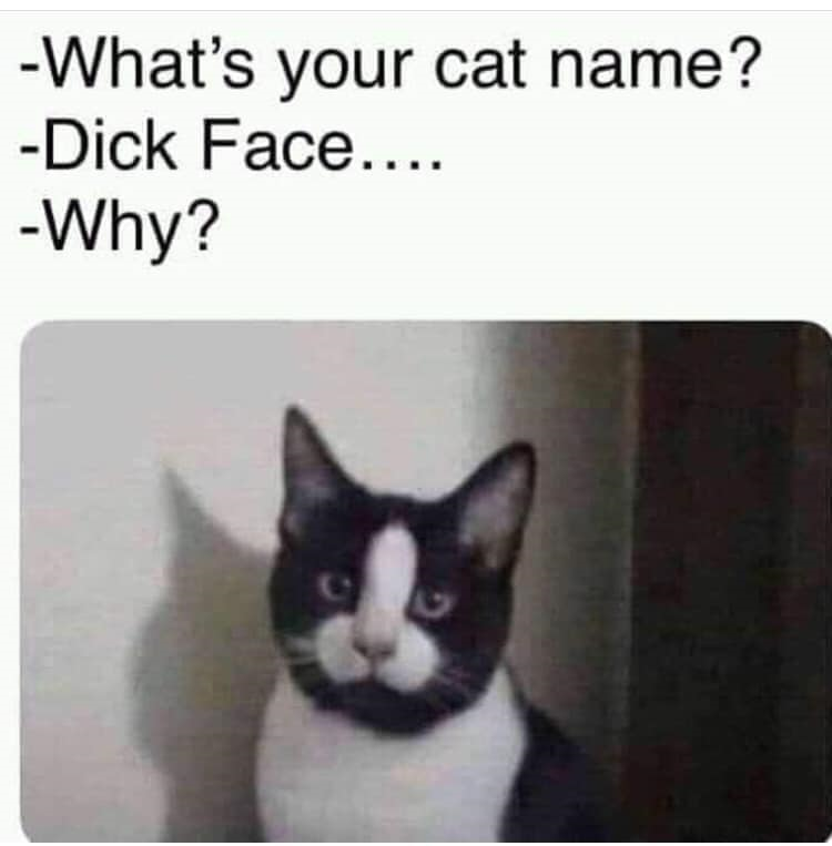 dickface