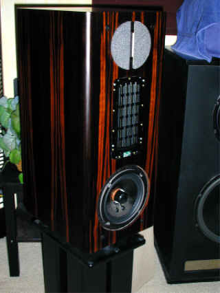 MLS African Ebony 626R left side