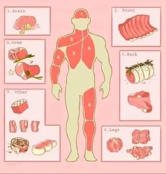 cuts