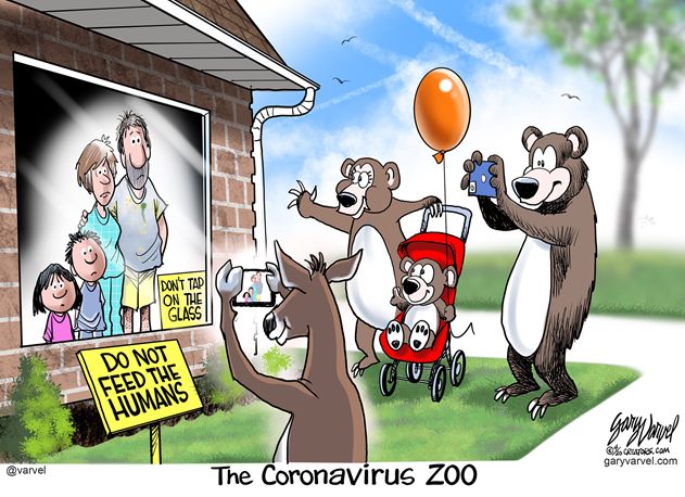 Zoo