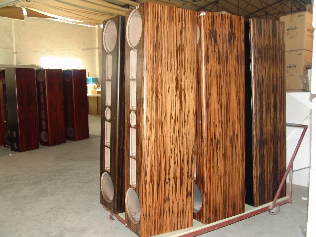Deep in the heart of an African Ebony Jungle