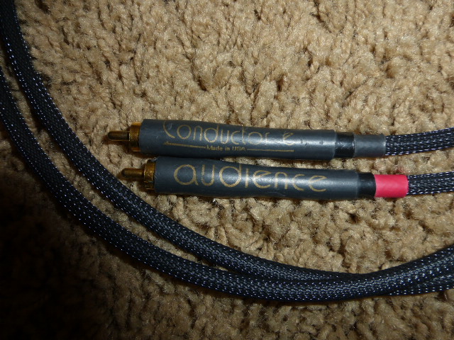 Audience-Conductor-e-closeup