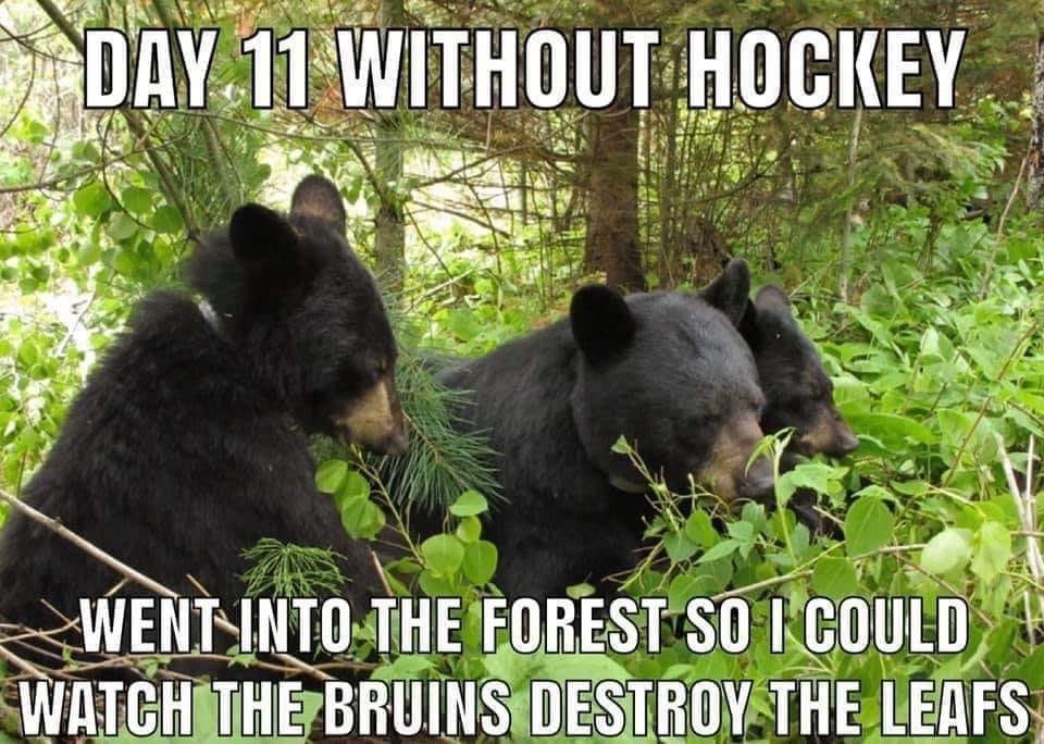 For frustrated hockey fans