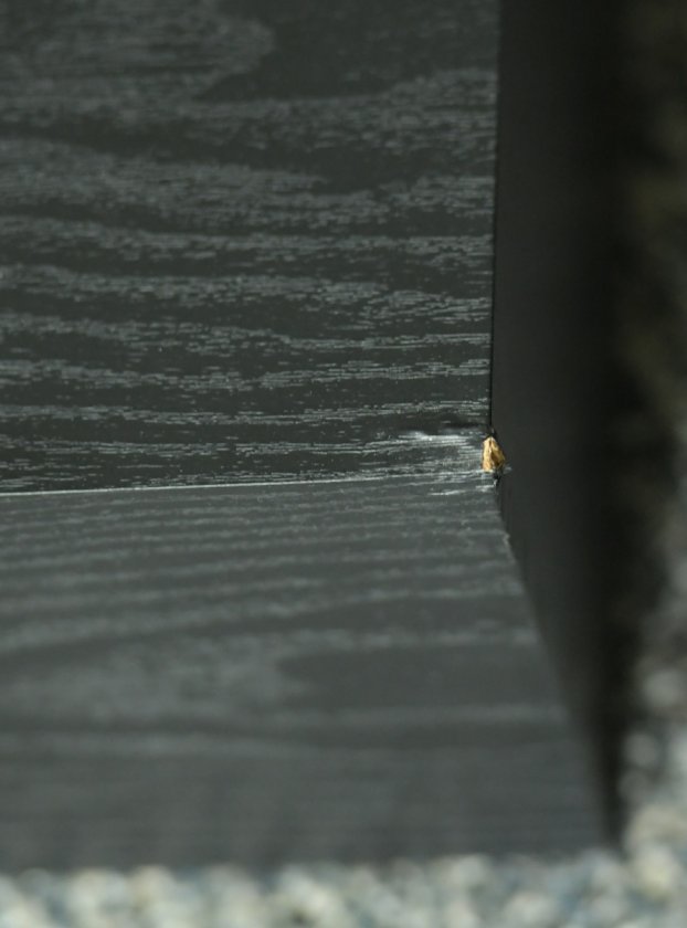 (Untitled)