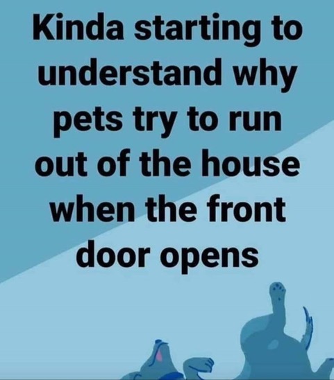Understanding--2-
