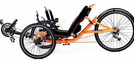 Cattrike-559.