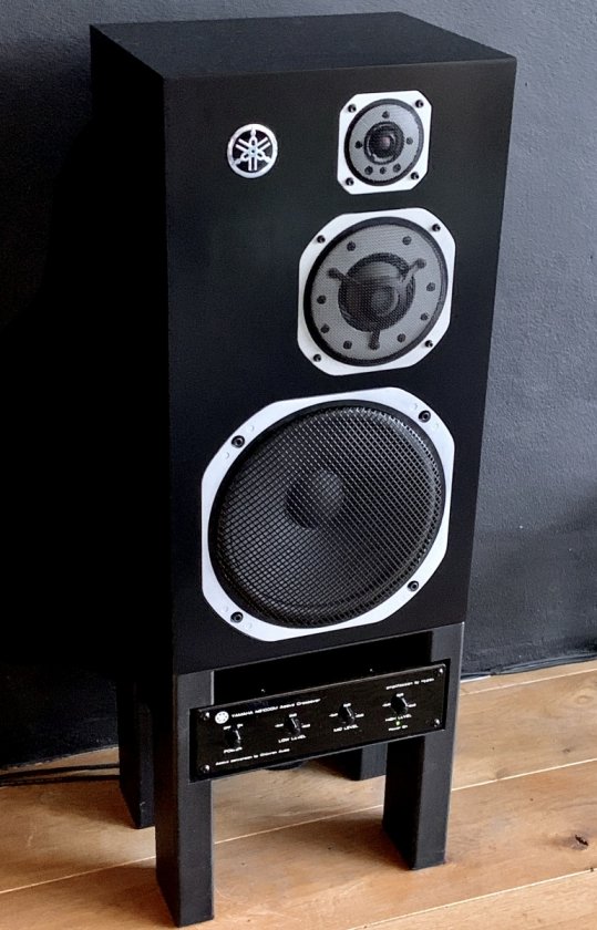 My NS1000s