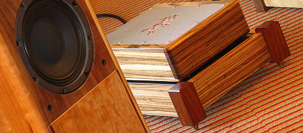 Zebrawood w Cocobolo posts.
Amps not includes ;-)