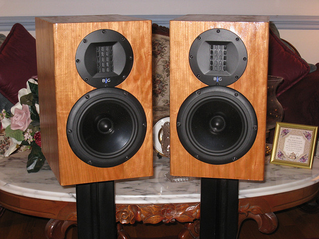 Neo 2X with Grills Off 