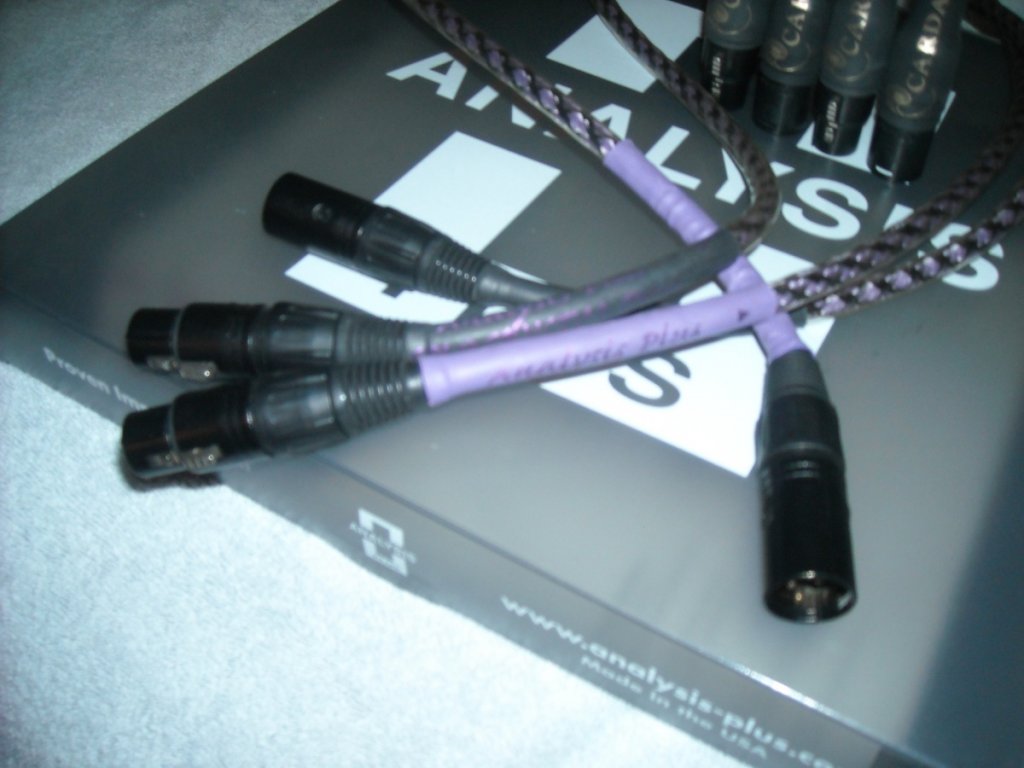 (Untitled)