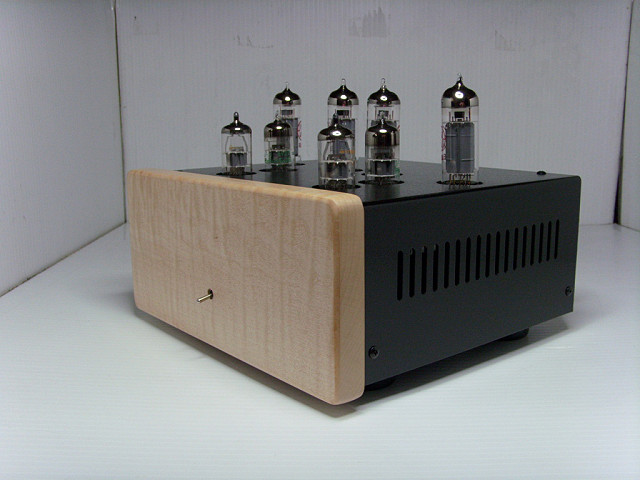 (production battery amp side view)