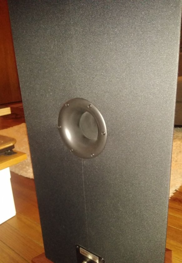 rear-vr22