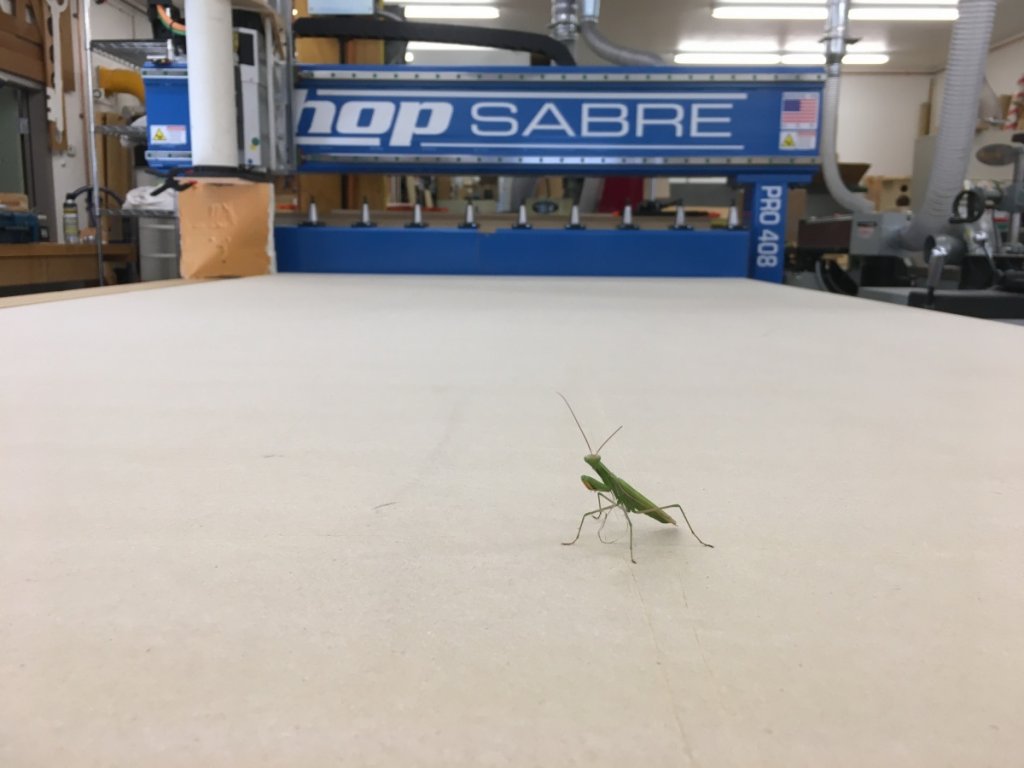 Shop-Sabre-Mantis