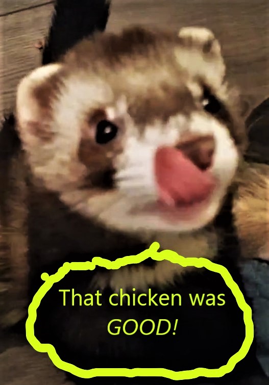 Good-Chicken--2-