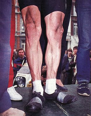 sean kelly