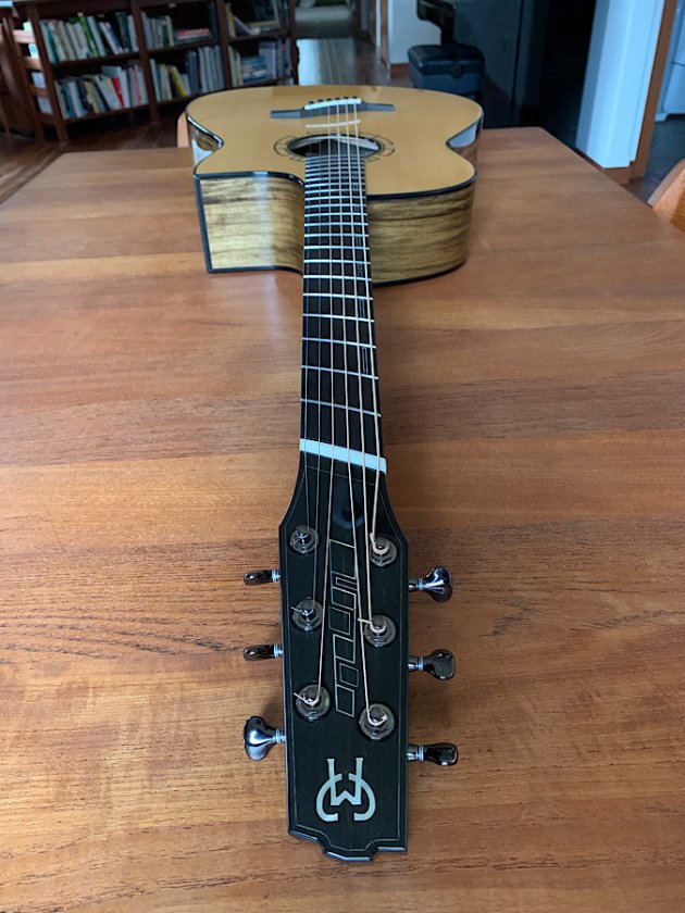 My latest build. A 28” Baritone Fan-fret