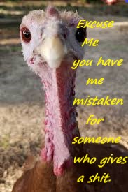 Excuse-Me