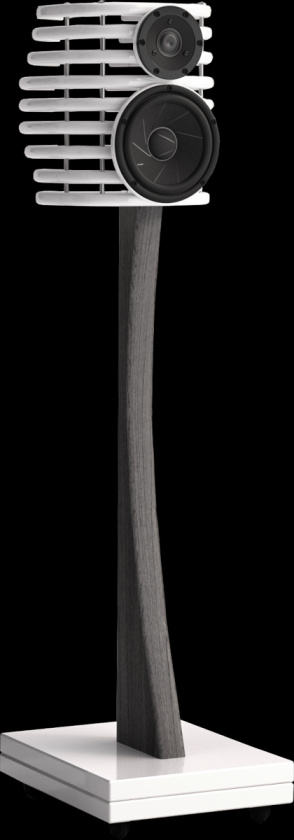 Ugly-speaker-4