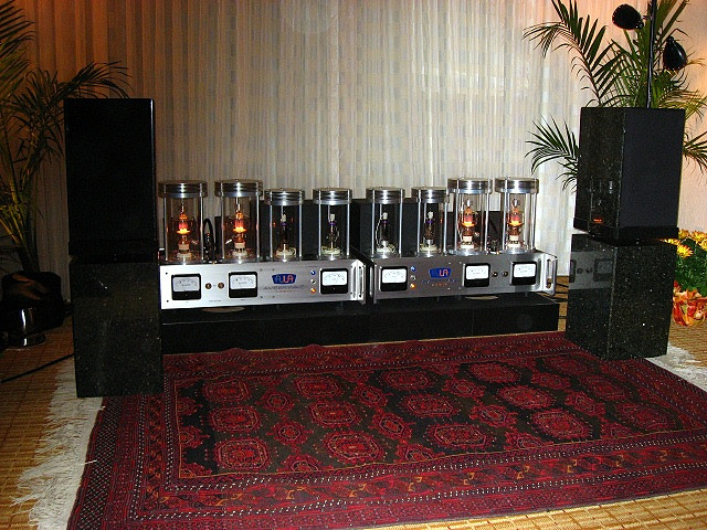 The Amber Wave Mono Block amps....
