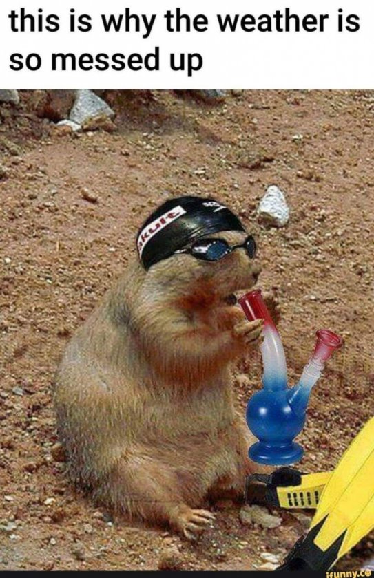groundhog