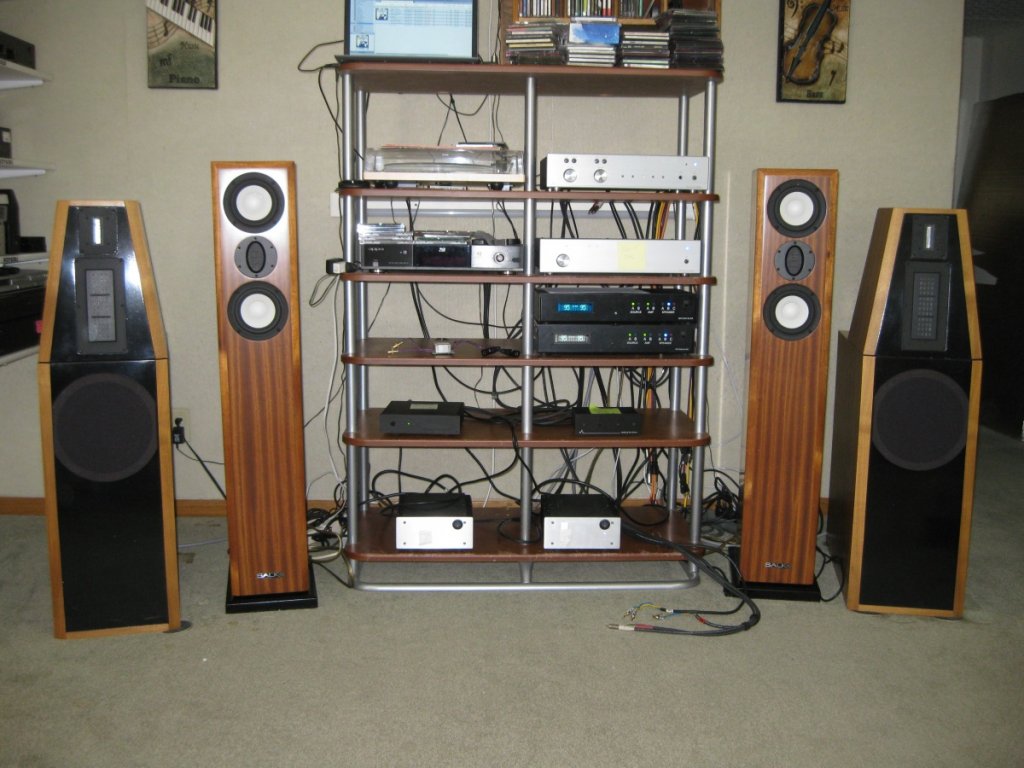 New Salk Songtower 2 speakers. Outstanding!