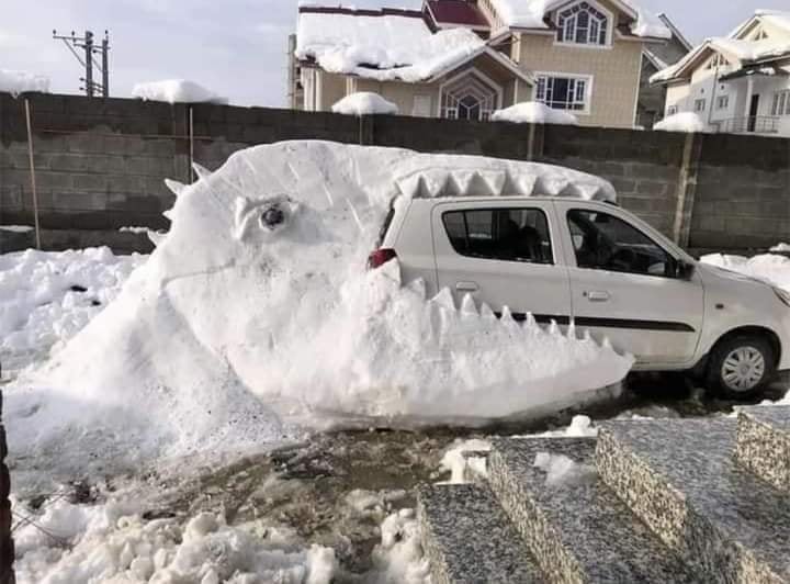 snowdragom