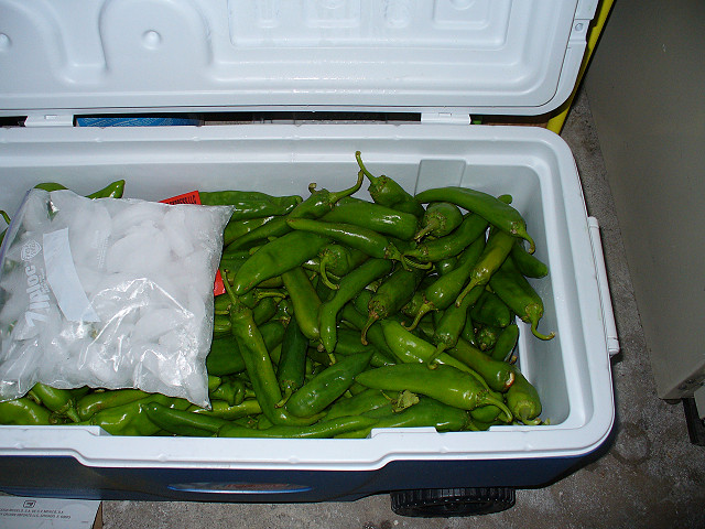 Big Jim green chiles from Hatch NM