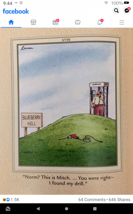 On blueberry hill
