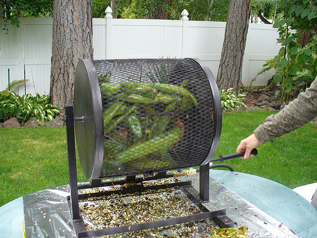 roasting chiles
