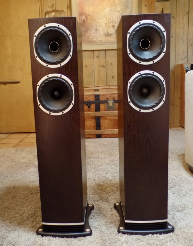Fyne F501