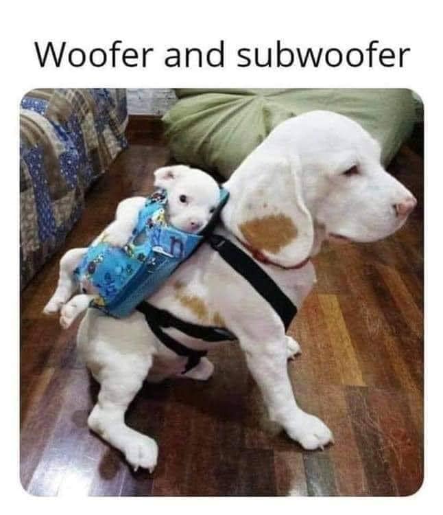 woofer
