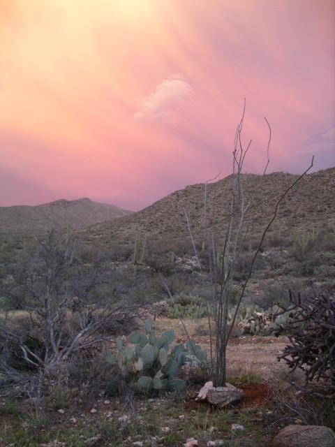 Arizona Sunset