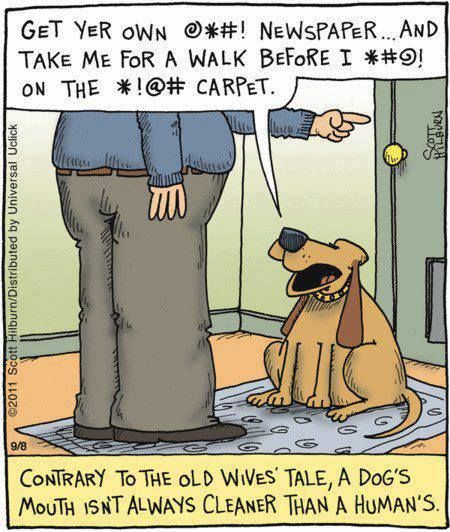 Cartoon-argyle-sweater-funny-dogs