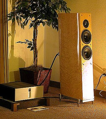 CES 2202 Gamut Wenge