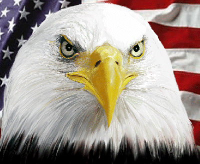 4th-of-july
