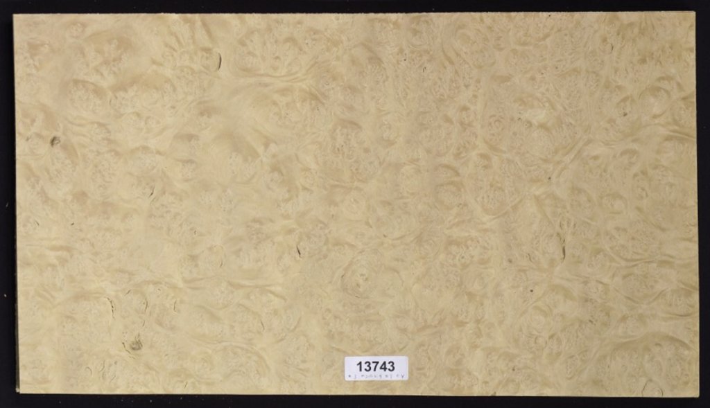 732081E 3-DD 03-4262-A 286-85531A 2536FA