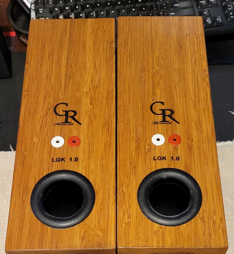 Laser logo 2