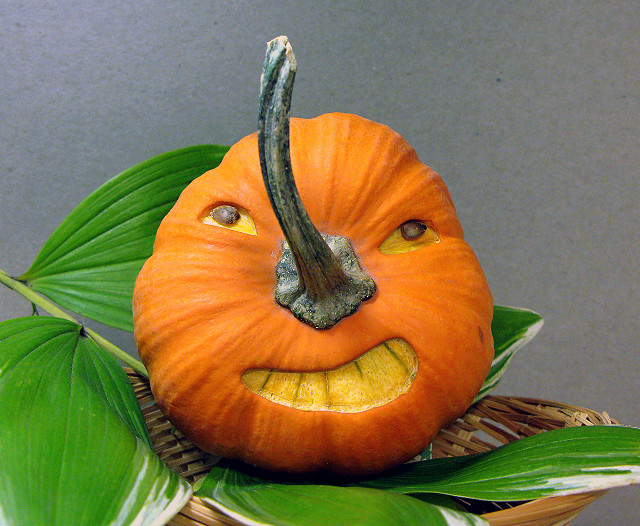 Halloween Pumpkin Jr.