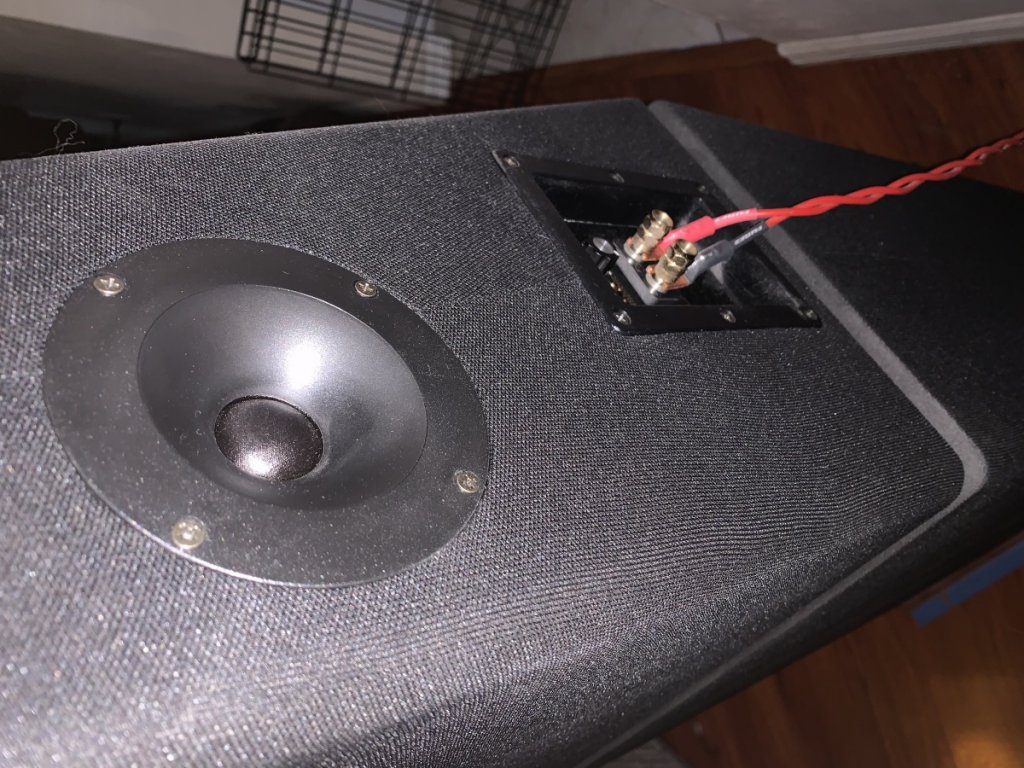 Rear of left speaker midrange and tweeter module.