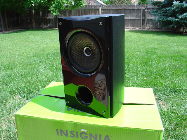 insig1