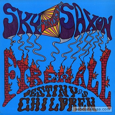 sky saxon firewall