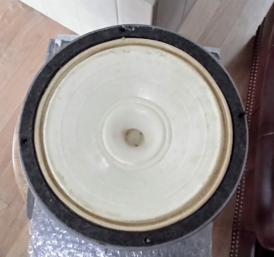 24" woofer