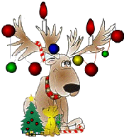 reindeer cissbury 2