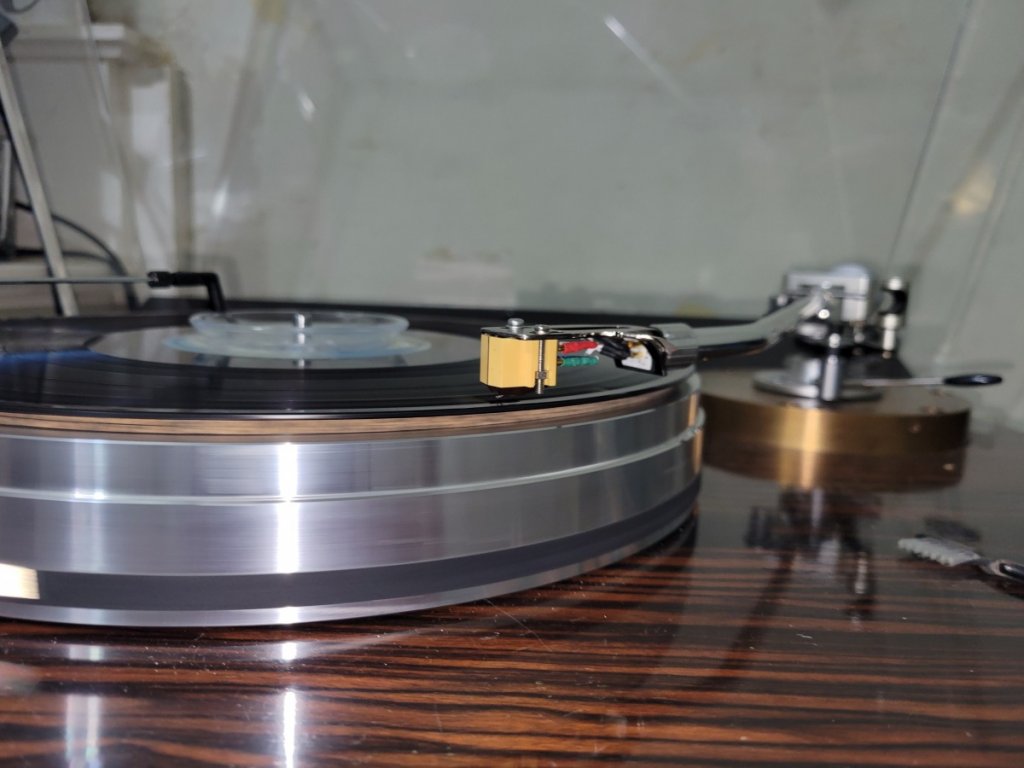 DL-303