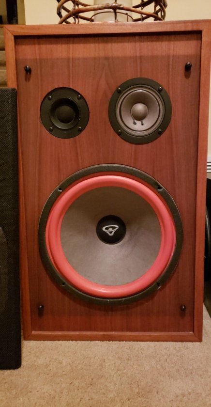 Cerwin vega 311p 2025