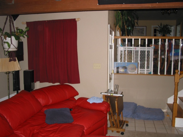 109-0996 IMG