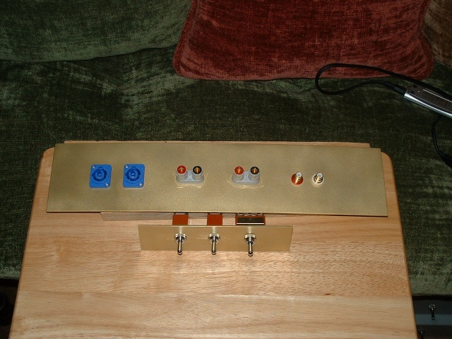 Front and rear brass panels for one UcD amp.